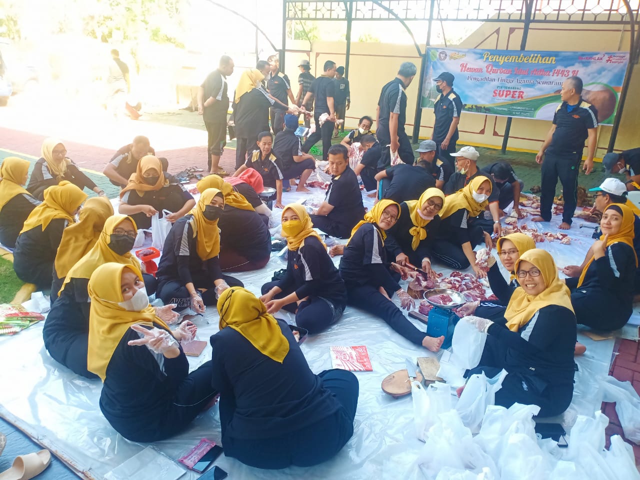 WhatsApp Image 2022 07 12 at 11.17.54