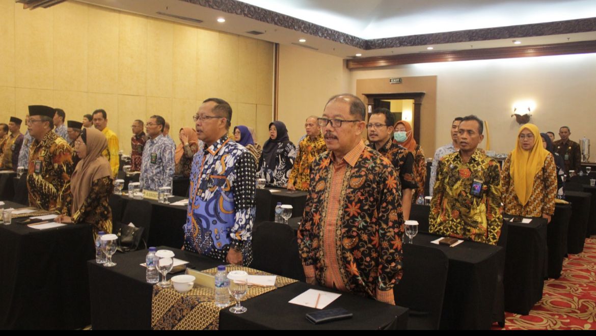 WhatsApp Image 2024-02-02 at 13.44.24.jpeg